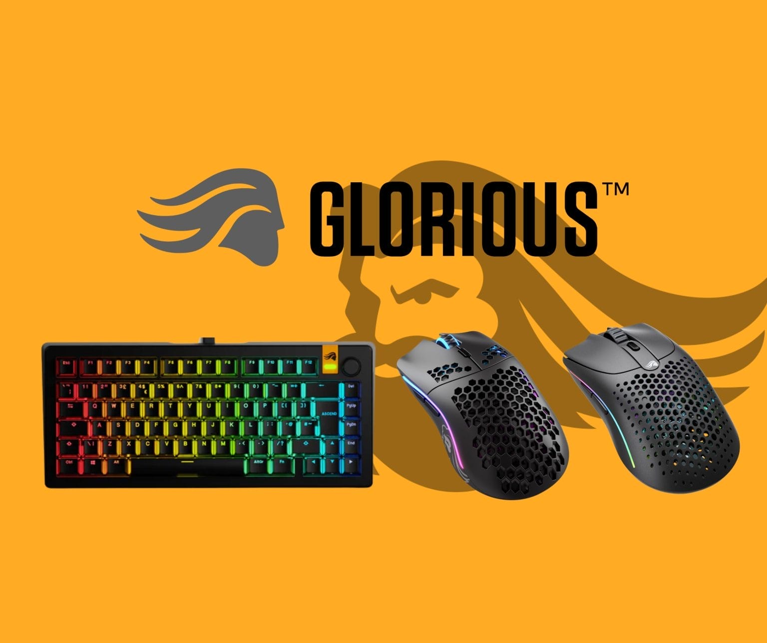 סדרת Glorious בישראל